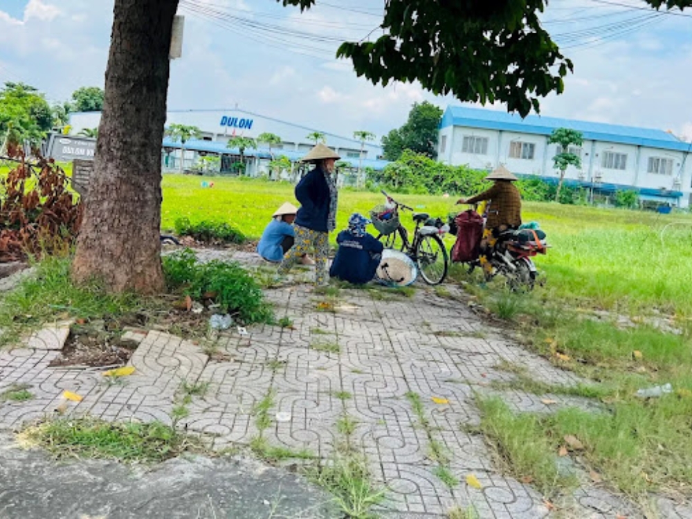 tin tức