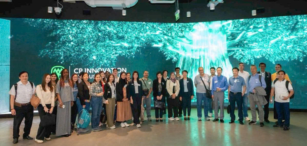 Các hoạt động của LIF