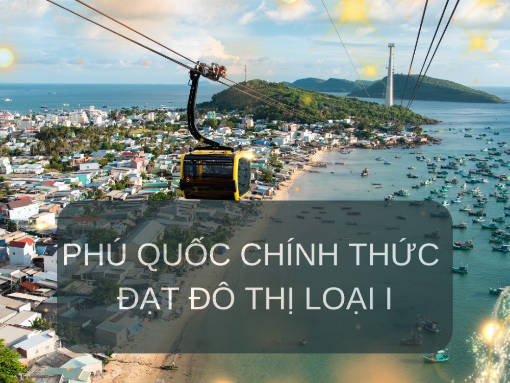 tin tức