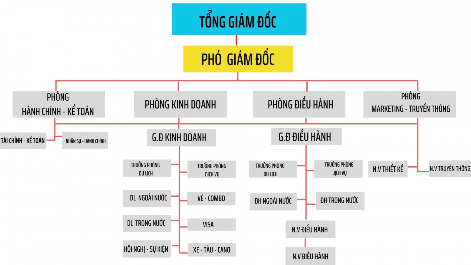 Bộ máy tổ chức 